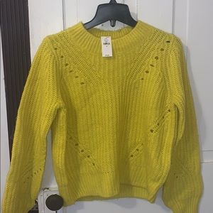 Brand new, never worn gap sweater